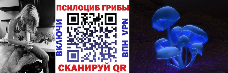 Псилоцибиновые грибы мицелий  Купить  Терек 