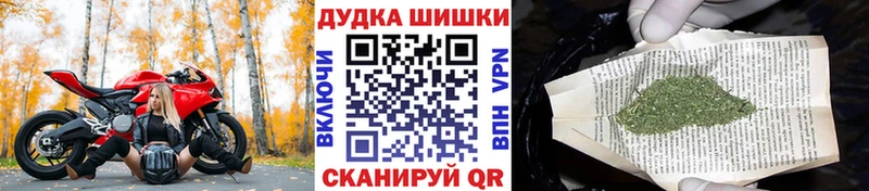 Марихуана MAZAR  Купить где  Терек 